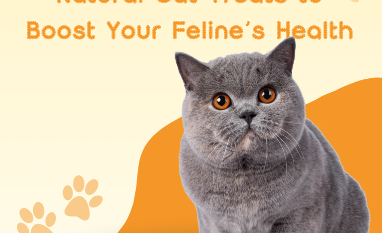 Natural Cat Treats to Boost Your Feline’s Health