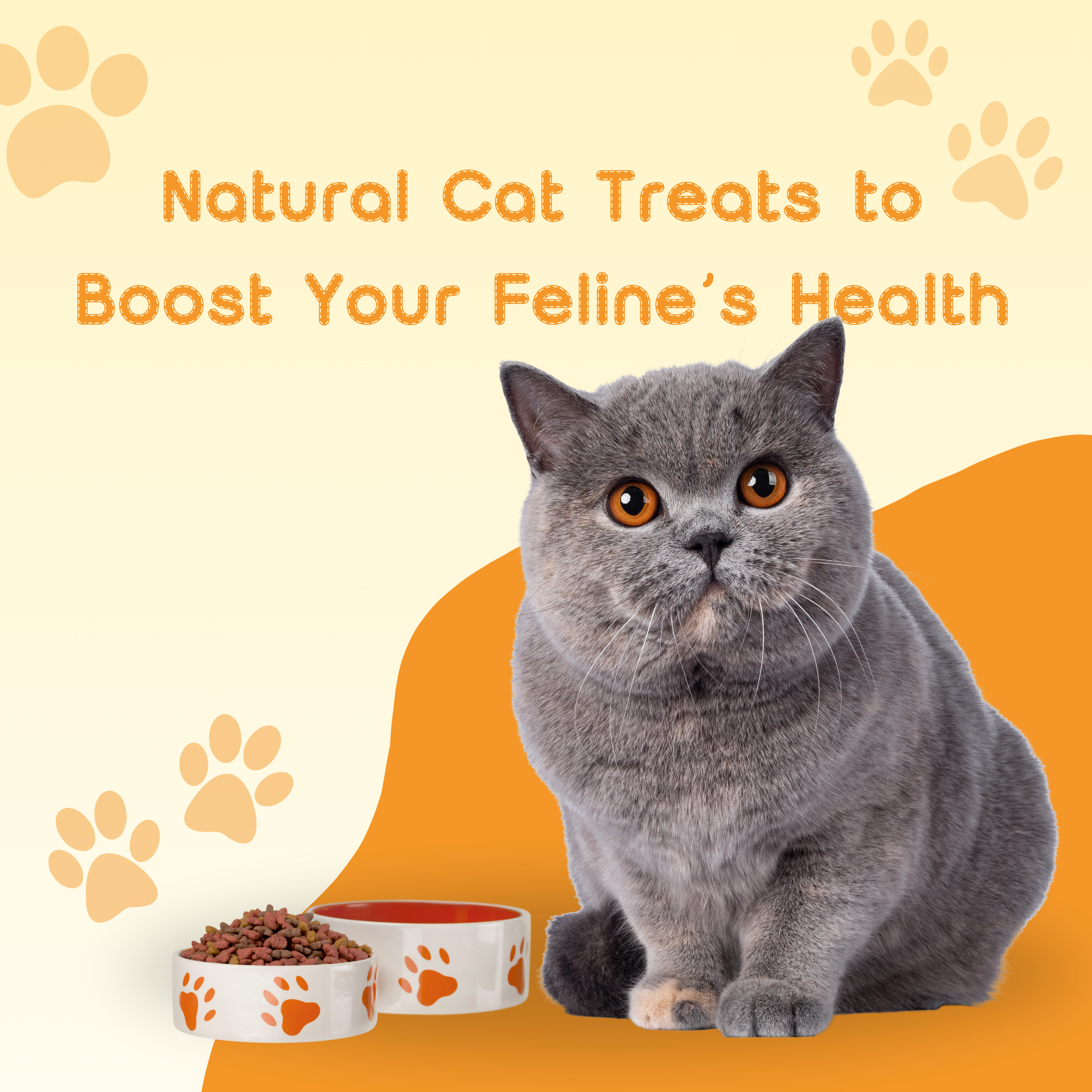 Natural Cat Treats to Boost Your Feline’s Health