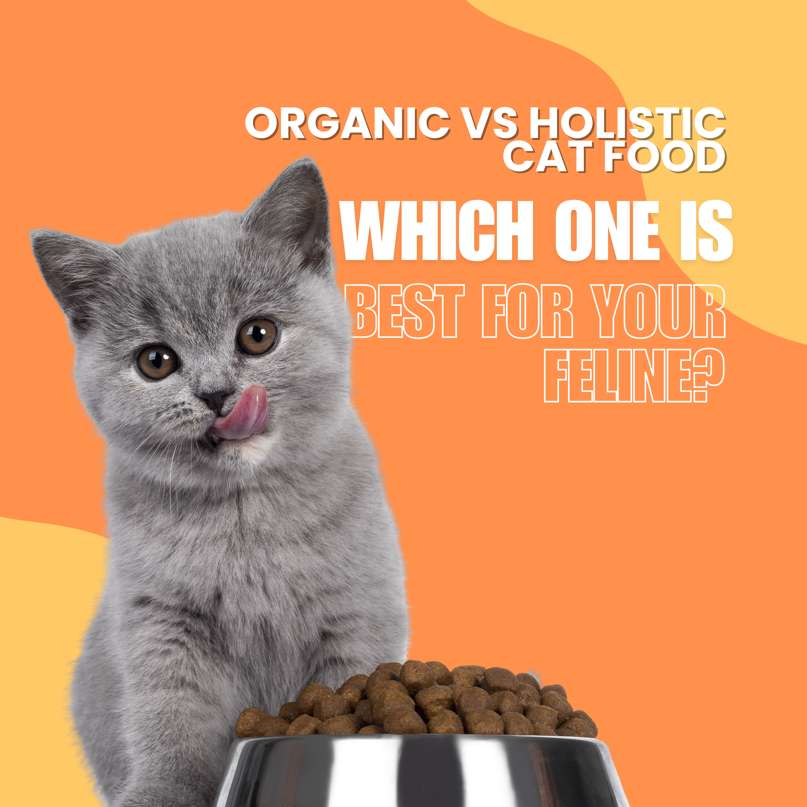 Organic vs Holistic Cat Food – Which One Is Best for Your Feline?