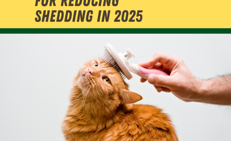 Top 5 Cat Grooming Gloves for Reducing Shedding in 2025