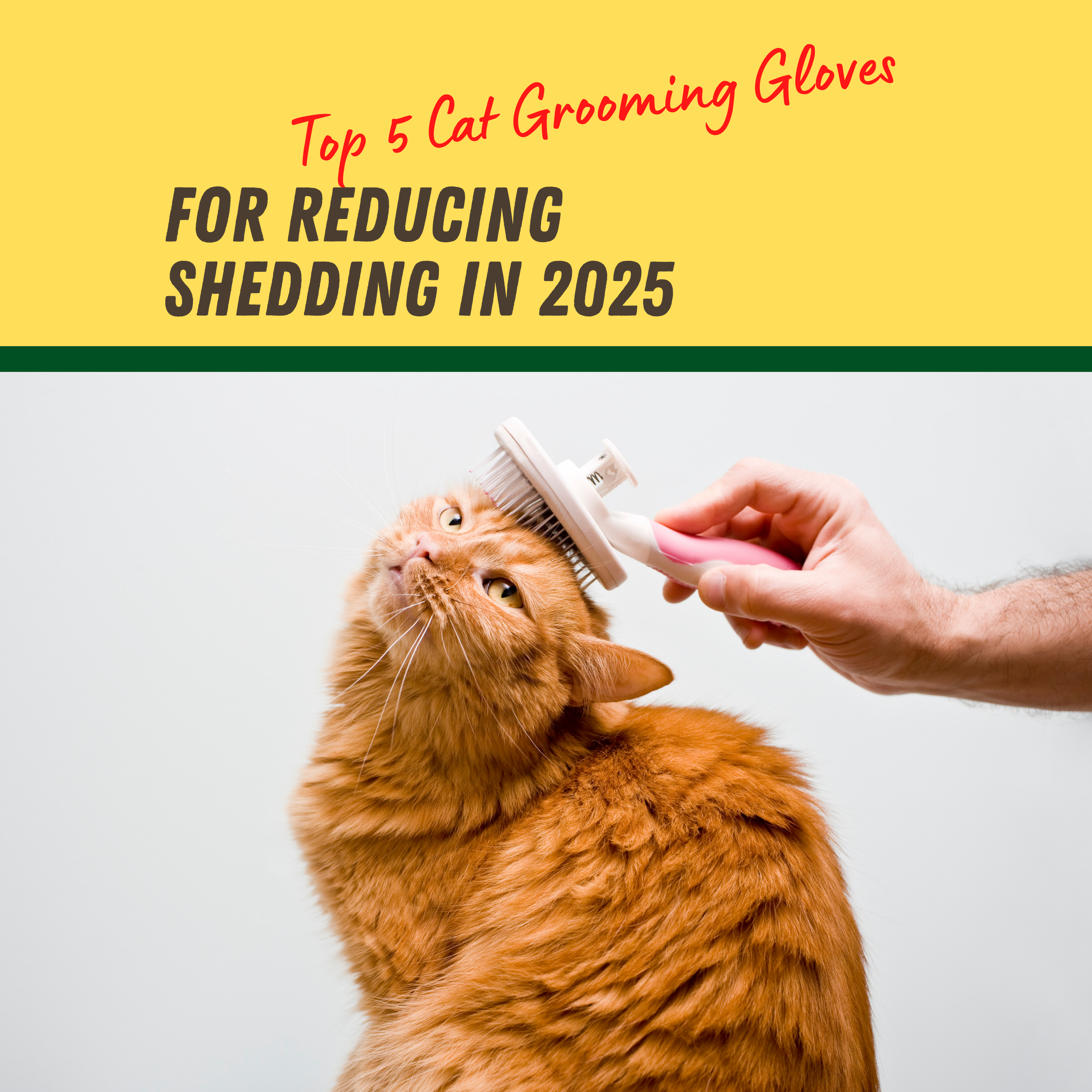 Top 5 Cat Grooming Gloves for Reducing Shedding in 2025