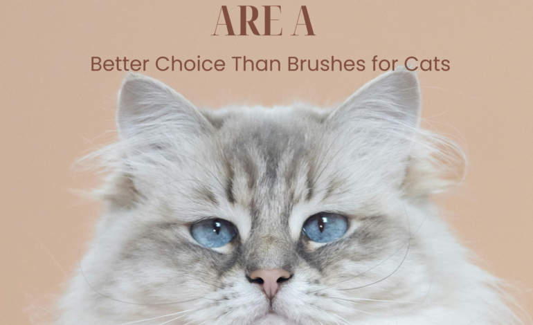 Why Grooming Gloves Are a Better Choice Than Brushes for Cats