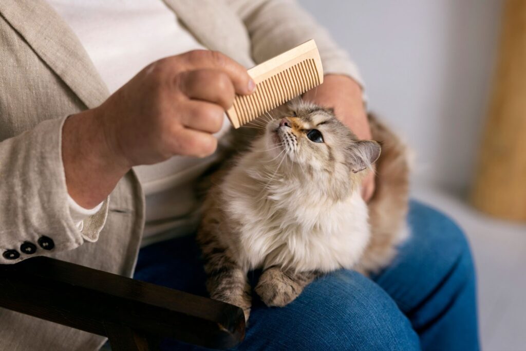 Why Eco-Friendly Grooming Gloves for Cats Are a Better Choice