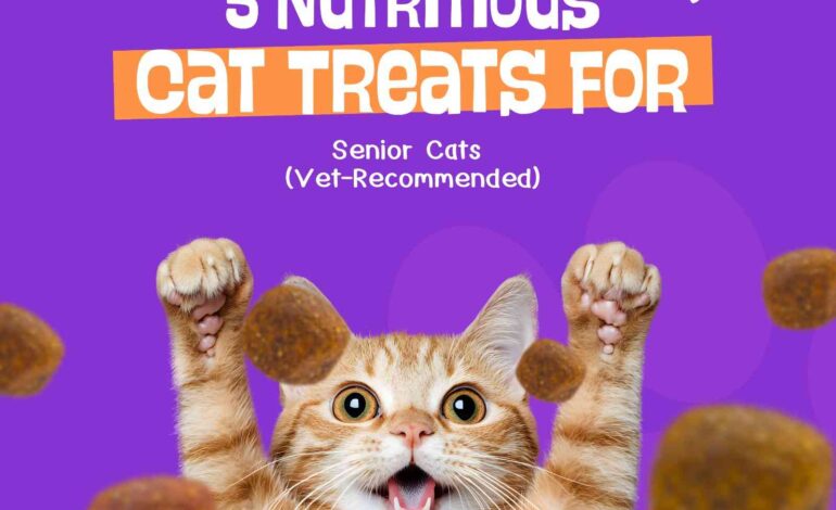 5 Nutritious Cat Treats for Senior Cats (Vet-Recommended)