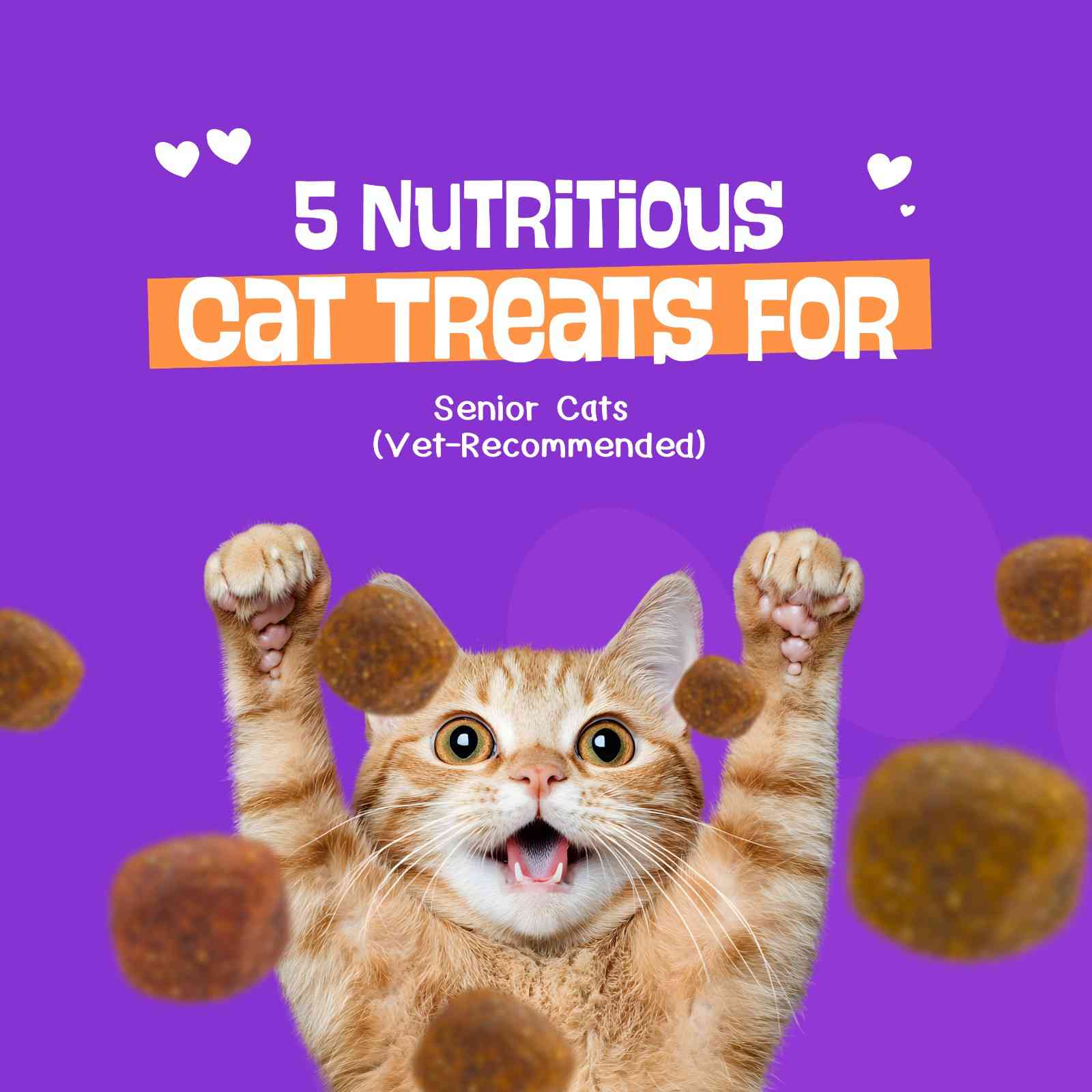 5 Nutritious Cat Treats for Senior Cats (Vet-Recommended)