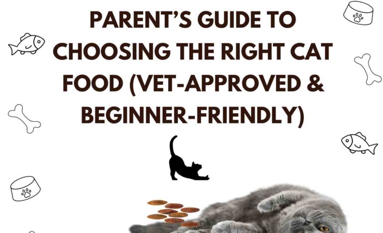 A First-Time Cat Parent’s Guide to Choosing the Right Cat Food (Vet-Approved & Beginner-Friendly)