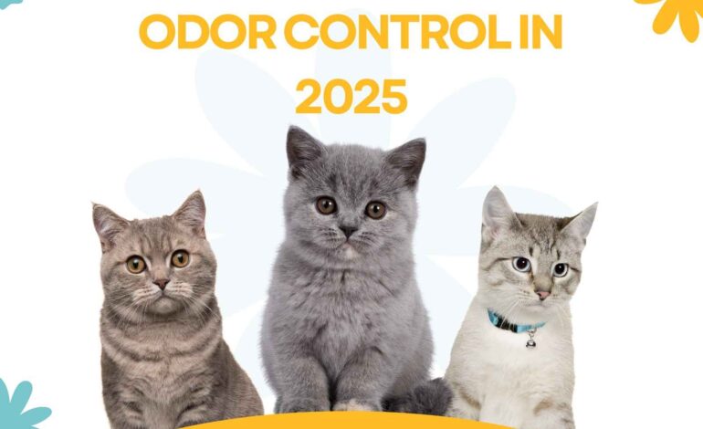 Best Cat Litter for Odor Control in 2025 Vet-Recommended Picks
