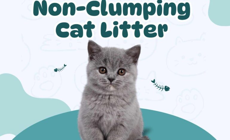 Clumping vs. Non-Clumping Cat Litter: Which Is Best for Your Cat?