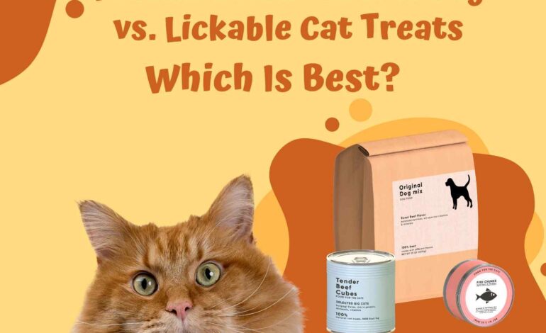 Freeze-Dried vs. Crunchy vs. Lickable Cat Treats Which Is Best