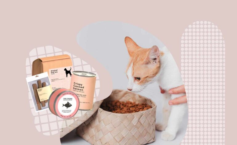 Top Cat Dental Treats: A Buyer’s Guide for Pet Owners