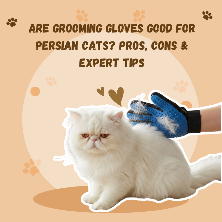Are Grooming Gloves Good for Persian Cats? Pros, Cons & Expert Tips