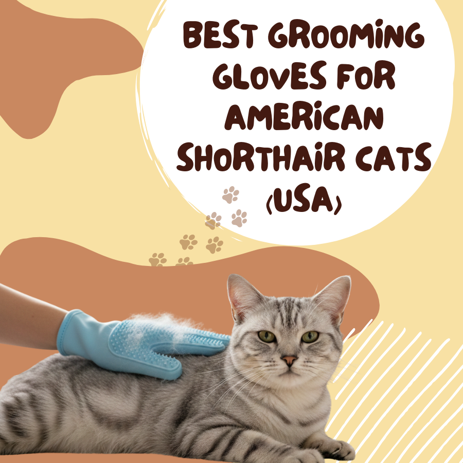 Best Grooming Gloves for American Shorthair Cats (USA)
