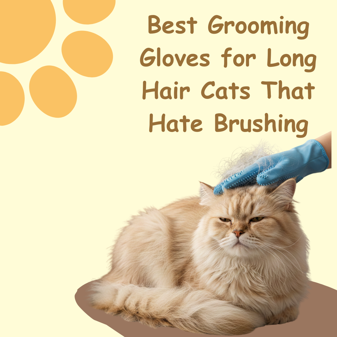 Best Grooming Gloves for Long Hair Cats That Hate Brushing