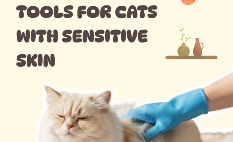 Best Grooming Tools for Cats with Sensitive Skin