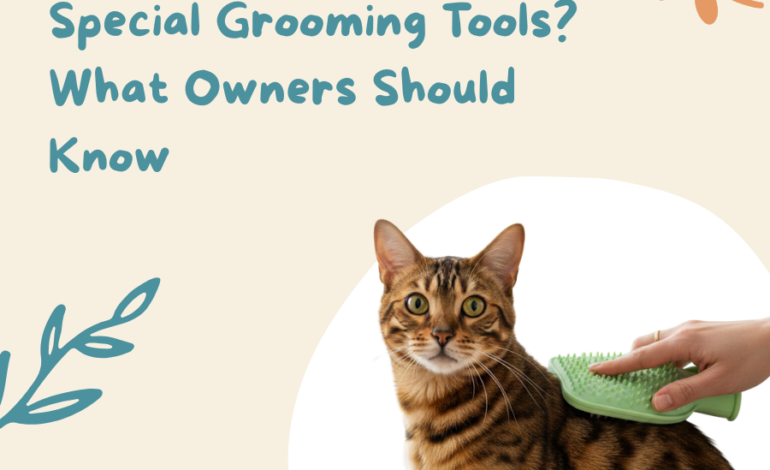 Do Bengal Cats Need Special Grooming Tools? What Owners Should Know