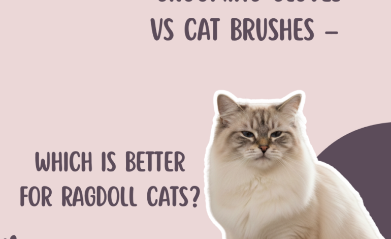 Grooming Gloves vs Cat Brushes