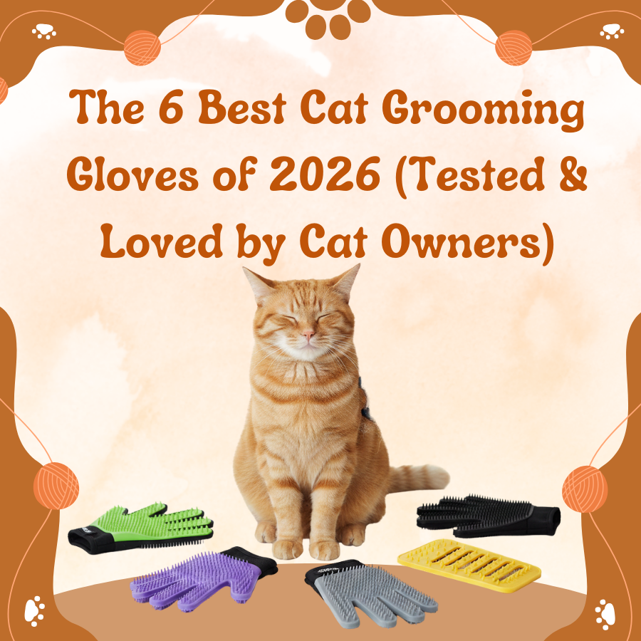 The 6 Best Cat Grooming Gloves of 2026 (Tested & Loved by Cat Owners)