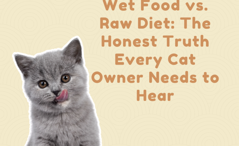 Dry Food vs. Wet Food vs. Raw Diet: The Honest Truth Every Cat Owner Needs to Hear