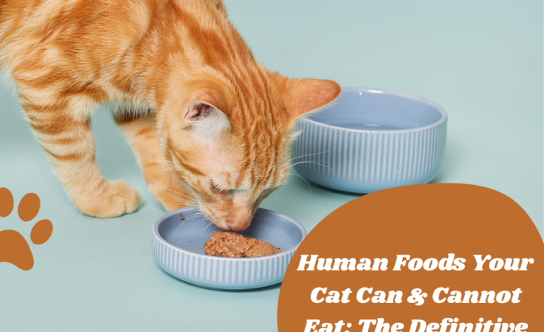 Human Foods Your Cat Can & Cannot Eat: The Definitive A–Z Guide