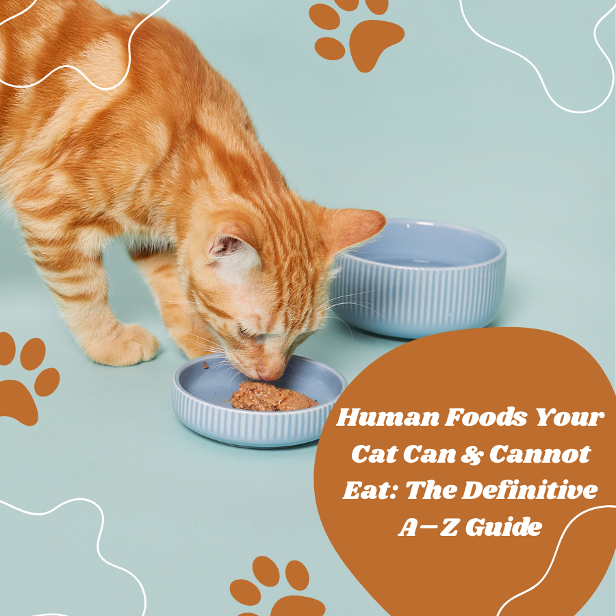 Human Foods Your Cat Can & Cannot Eat: The Definitive A–Z Guide