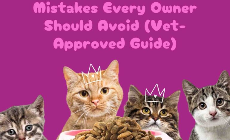 20 Common Cat Feeding Mistakes Every Owner Should Avoid (Vet-Approved Guide)