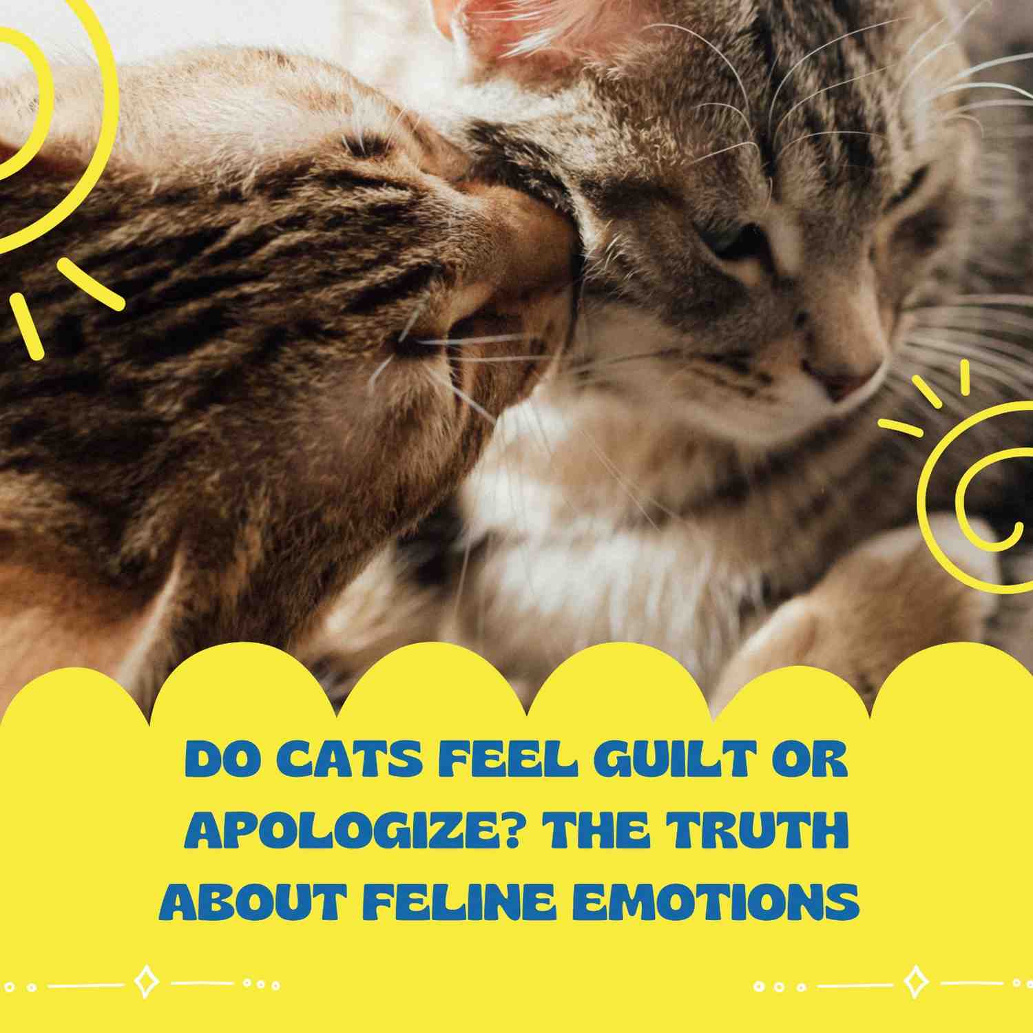 Do Cats Feel Guilt or Apologize? The Truth About Feline Emotions