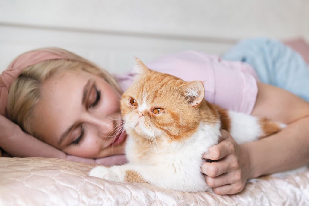 Real Reasons Your Female Cat Sleeps