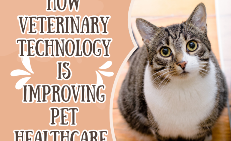 How Veterinary Technology is Improving Pet Healthcare