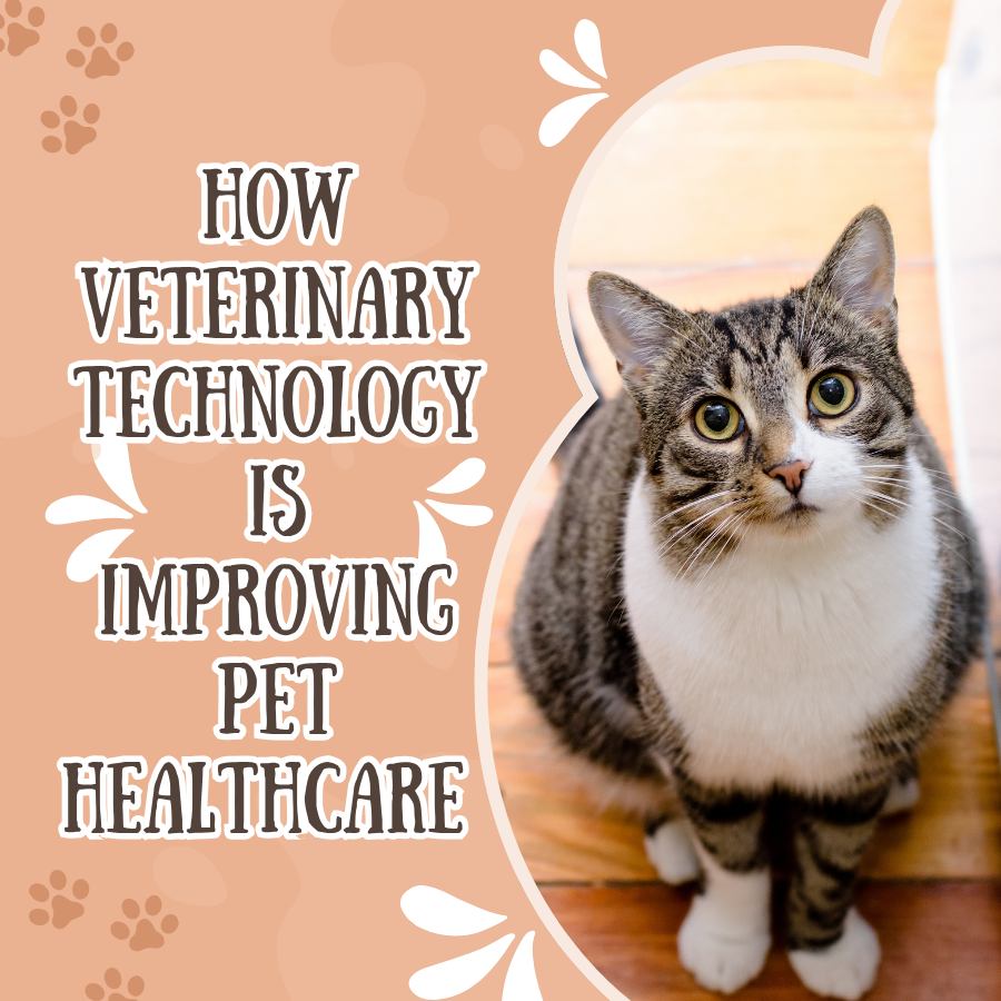 How Veterinary Technology is Improving Pet Healthcare