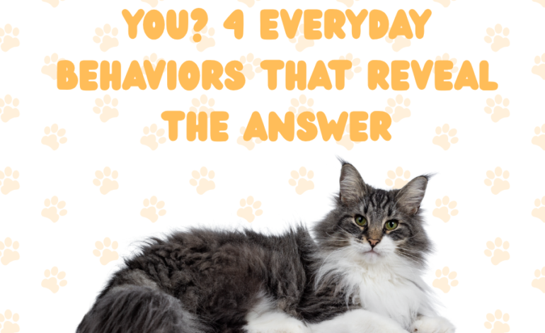 Does Your Cat Trust You